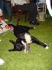 Christmas 2005 33.JPG